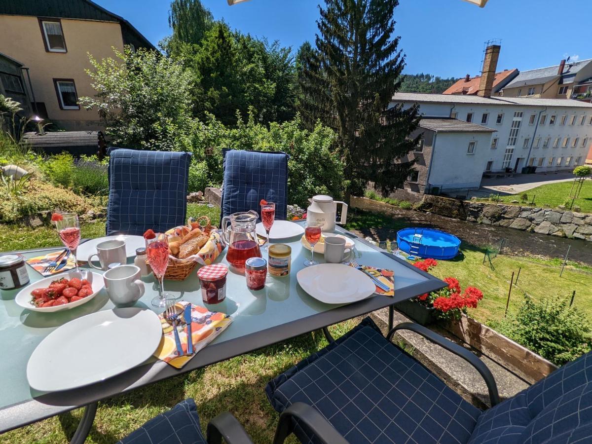 Lichtdurchflutete Helle Wohnung Mit Garten Sauna & Pool - Hw3 Sebnitz Exterior photo